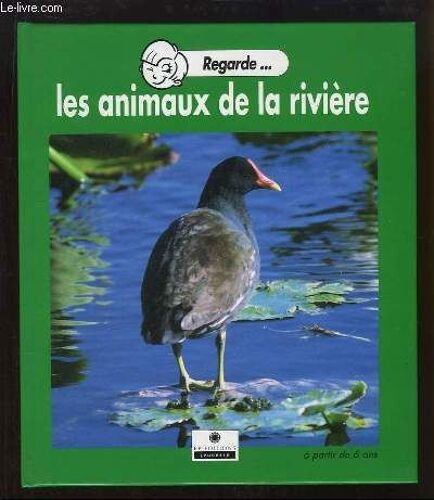 Les Animaux De La Rivière