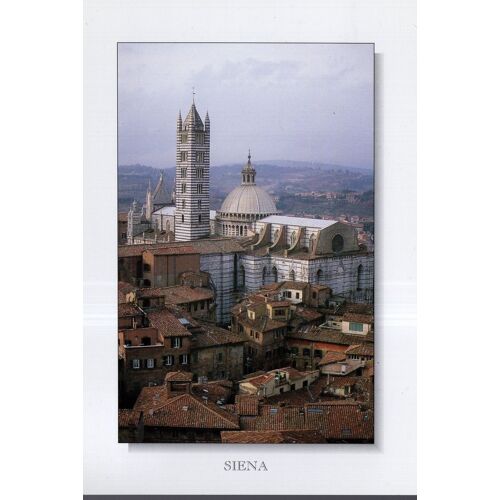 Carte Postale De Sienne / Siena (Italie) Il Duomo