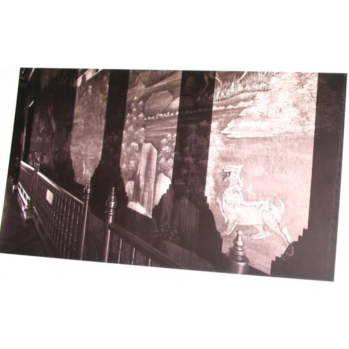 Affiche Photo Toile Lion D'asie En Tons Sépias