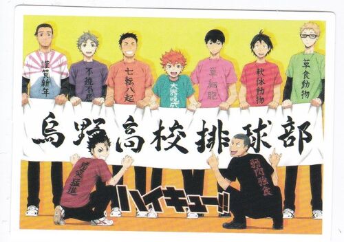 Autocollant - Haikyuu !! - Azumane, Sugawara, Sawamura, Hinata, Kageyama, Yamaguchi, Tsukishima, Nishinoya Et Tanaka (Animé, Manga, Volley-Ball, Shounen)