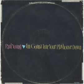 I'm Gonna Tear Your Playhouse Dosn (U S Remix) 6:15 ; Hot Fun (C B S  T A 6762)