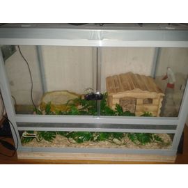 Terrarium Plus Accessoire