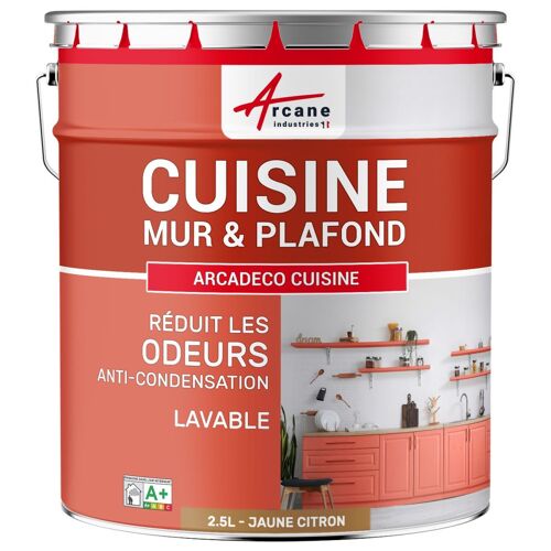 Peinture cuisine lessivable absorbe les odeurs Jaune citron RAL 1012 2.5 L