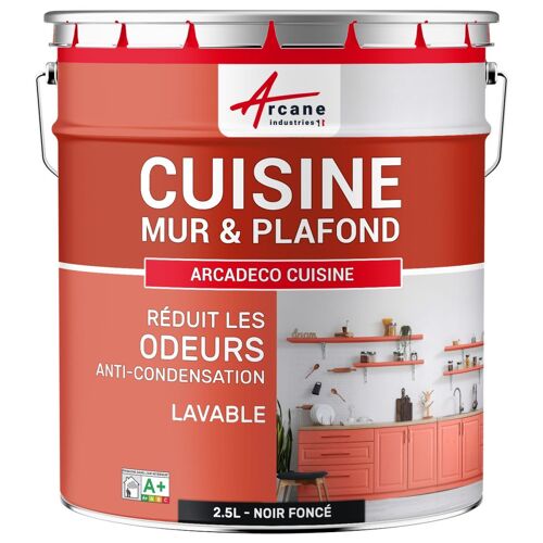 Peinture cuisine lessivable absorbe les odeurs RAL 9005 - Noir foncé 2.5 L