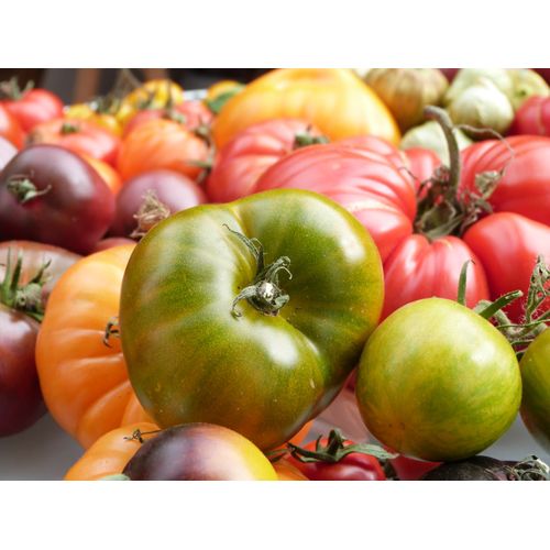Tomate Belle Maurinoise Verte - 15 Graines