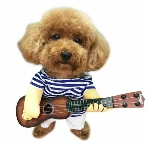Déguisement Pour Chien Joueur De Guitare Costume