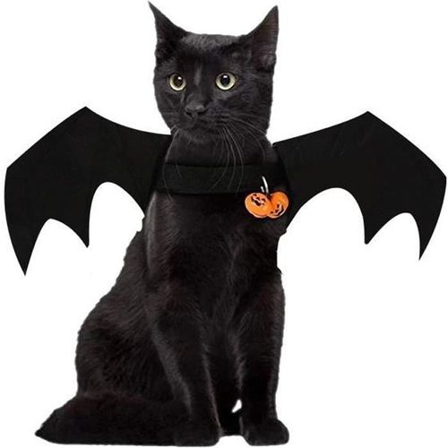 Déguisement Chien Ou Chat Ailes De Chauve-Souris Costume