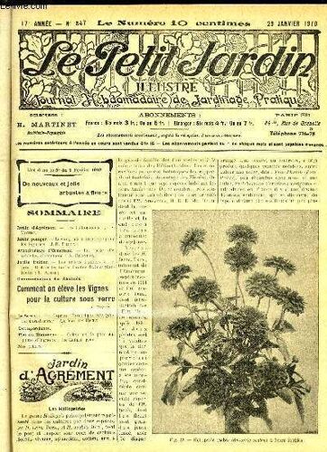 Le Petit Jardin Illustre N° 847 - Jardin D¿Agrément. ¿ Les Iléliopsides :* S. Imottet.Jardin Potager. ¿ T.Es Engrais À Employer Pour Les Légumes : J.-B. Pillot.Arboriculture Dhdrnement. ¿ La ...
