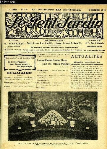 Le Petit Jardin Illustre N° 891 - Actualités. ¿ L'exposition Internationale Des Chrysanthèmes De Paris. Ch. Arranger.L¿Appartement. ¿ Culture'forcée Des Tulipes Pour L'appartement Maurice ...