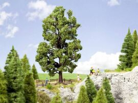 Noch - 21802 - Chtaignier, 18, 5 Cm De Haut-Noch