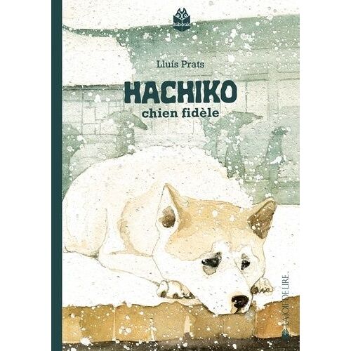 Hachiko - Chien Fidèle