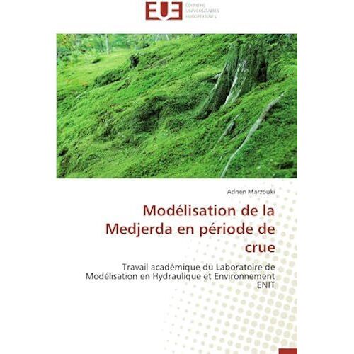 Modélisation De La Medjerda En Période De Crue