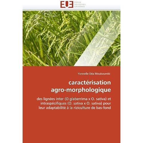 Caractérisation Agro-Morphologique