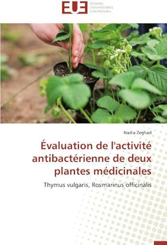 Évaluation De L'activité Antibactérienne De Deux Plantes Médicinales