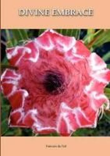 Divine Embrace New, 30 Chapter, 458page Revised Edition