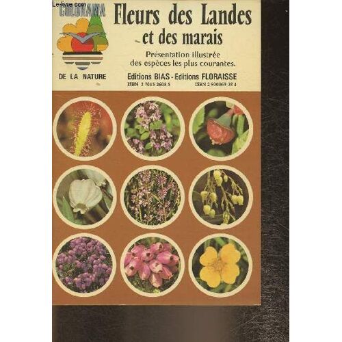Fleurs Des Landes Et Des Marais- Présentation Illustré Des Espèces Les Plus Courantes