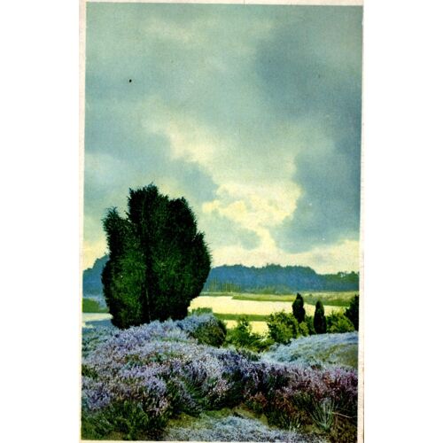 Photochromie Serie 339
