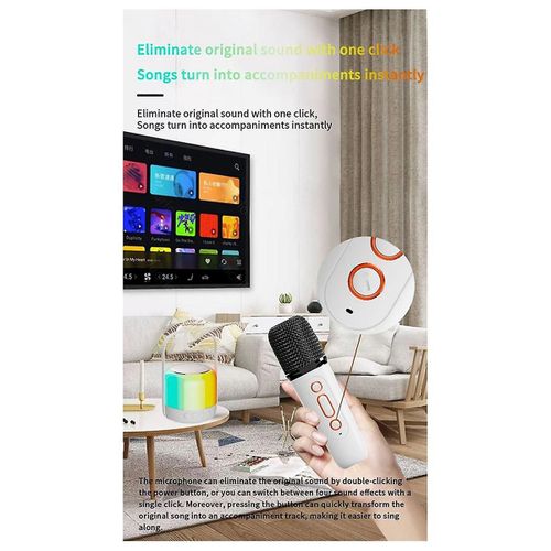 RGB Colorful LED Light Bluetooth 5.3 PA Speaker Wireless Dual Microphones KTV DSP System 3D HIFI St