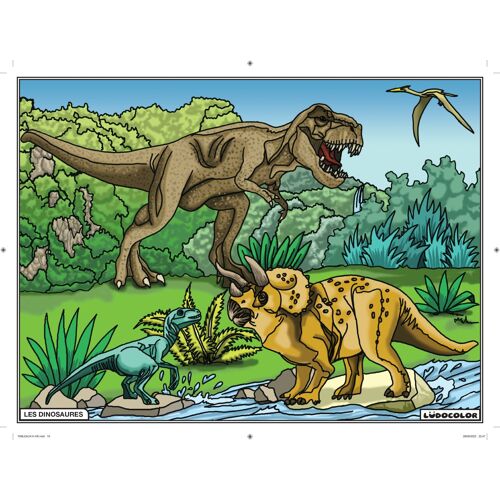 Tableau Velours À Colorier Pour Enfant Les Dinosaures