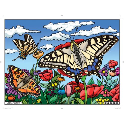 Tableau Velours À Colorier Les Papillons