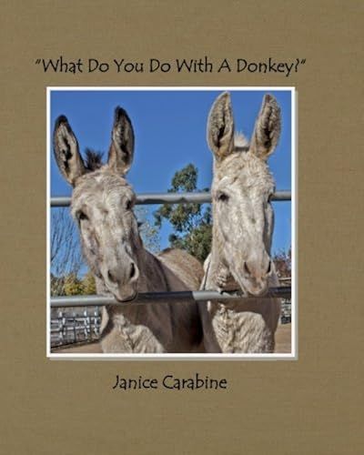 What Do You Do With A Donkey?