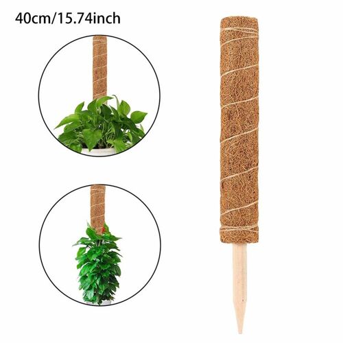 Mât De Totem En Mousse De Coco 30/40Cm, 1 Pièce, Plante Grimpante, Outil De Jardin 9109-May14A07888