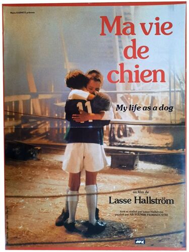 Ma Vie De Chien - Véritable Affiche De Cinéma Pliée - Format 40x60 Cm - De Lasse Hallström Avec Anton Glanzelius, Manfred Serner, Anki Lidén - 1985