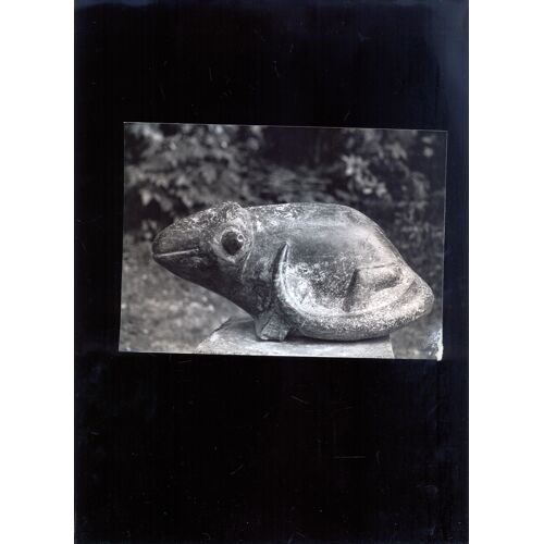 Le Caméléon " 1995 -  Ahiam Shoshany Dit Achiam,