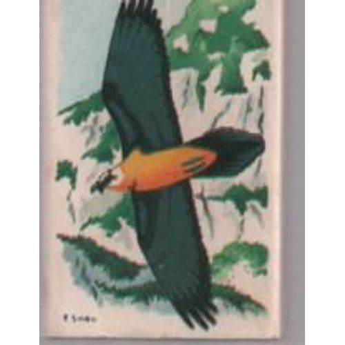 Petite Boîte D'allumettes Wwf Gypaete Barbu