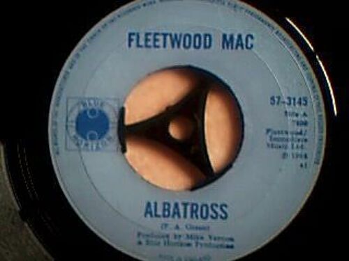 Albatross  /  Jigsaw Puzzle Blues