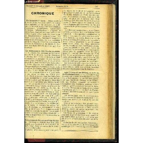 Le Petit Jardin Illustre N° 213 - Les Capillaires (Adiantum), Par M. L. Guil-Lochon L'hiver Et Les Plantes D¿Appartement, Par M. Albert Maumené Le Jardin D¿Agrément, Par M. S. Mottet La ...