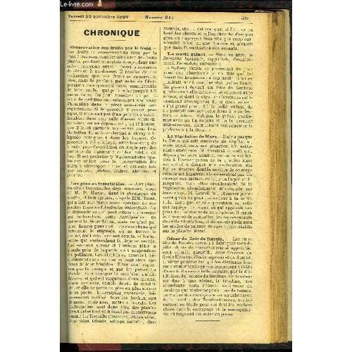 Le Petit Jardin Illustre N° 211 - Chronique ; Soins À Donner Aux Plantes Après Le Rempotage, Albert Maumené ; Les Fleurs Aux Mariages, En Allemagne, Albert Maumené ; Violettes Nouvelles, S. ...