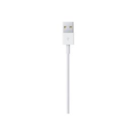 Apple - Câble Lightning - Lightning mâle pour USB mâle - 1 m