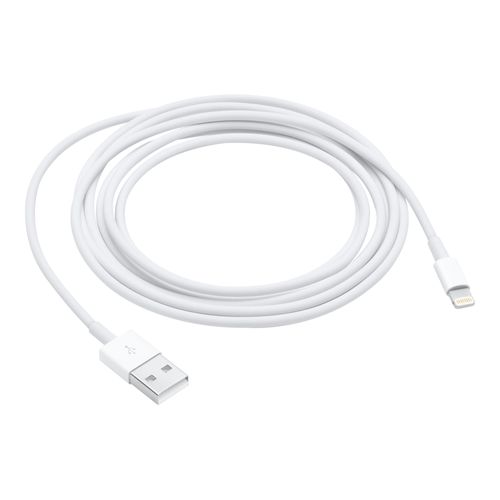 Apple - Câble Lightning - Lightning mâle pour USB mâle - 2 m