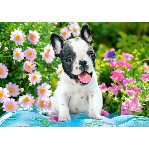 Bouledogue Français - Puzzle 500 Pièces