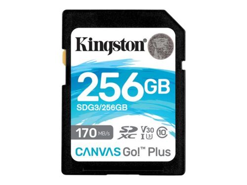 Kingston Canvas Go! Plus - Carte mémoire flash - 256 Go - Video Class V30 / UHS-I U3 / Class10 - SDXC UHS-I
