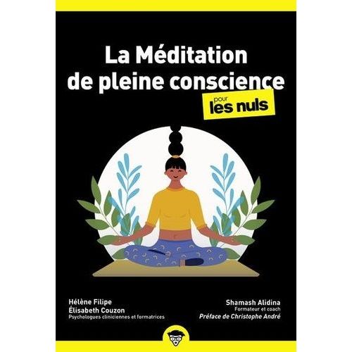 La Méditation De Pleine Conscience Pour Les Nuls