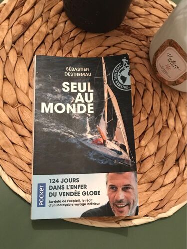 Livre « Seule Au Monde » De Sébastien Destremau 