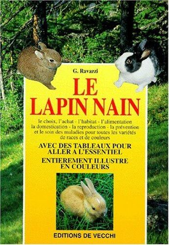 Le Lapin Nain