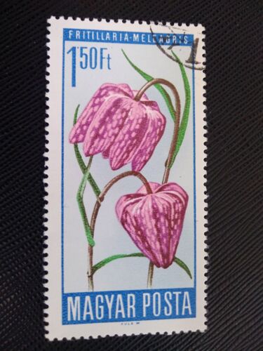 Timbre Hongrie Y T 1805 Fritillaire À Tête De Serpent (Fritillaria Meleagris) 1966 ( 140808 )