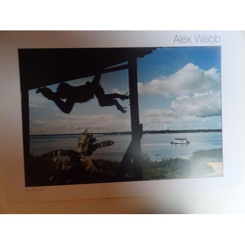 Alex Webb (Brésil, Téle, 1993)