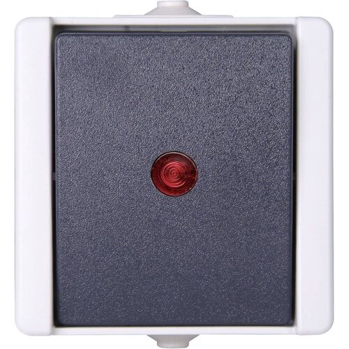 Kopp 541656003 1 pièce Gamme d'interrupteurs anti-humidité Interrupteur de commande complet proAQA gris