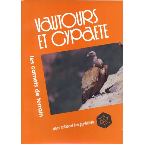 Les Flammes De Pierre
