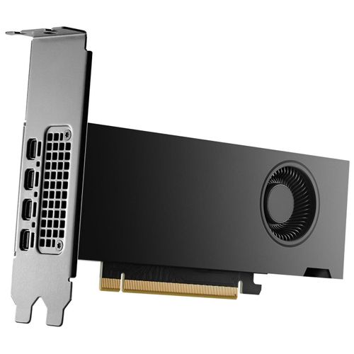 NVIDIA RTX 2000 Ada - Carte graphique - NVIDIA RTX 2000 Ada - 16 Go GDDR6 - 4 x Mini DisplayPort