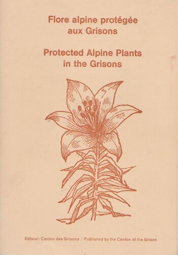 Flore Alpine Protegee Aux Grisons