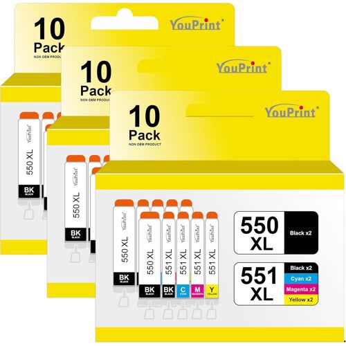 Lot de 30 cartouches d'encre de rechange pour Canon PGI550 CLI551 XL avec puce compatible avec Canon PIXMA iP7250 MG5550 MG5650 MX925