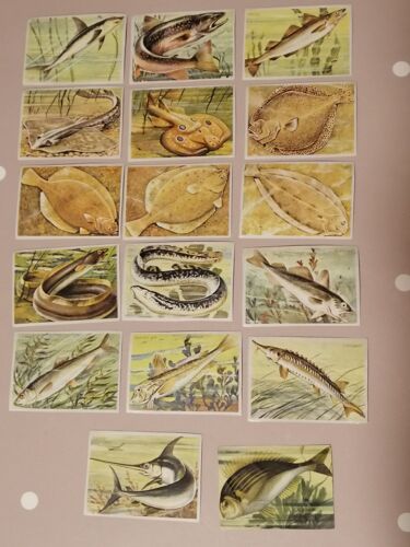 Lot De 15 Images Scolaires Anciennes Pour Bon Point Sur Les Poissons