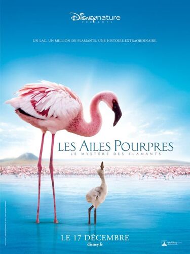 Les Ailes Pourpres : Le Mystère Des Flamants - Véritable Affiche De Cinéma Pliée-Format 120x160 Cm - Documentaire De Matthew Aeberhard, Leander Ward - 2008