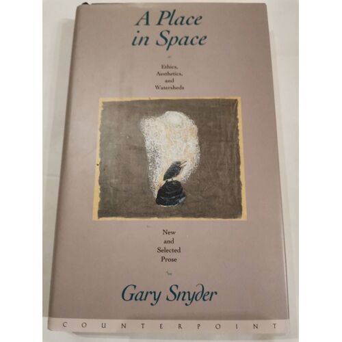 A Place In Space Ethics Aesthetics And Watersheds