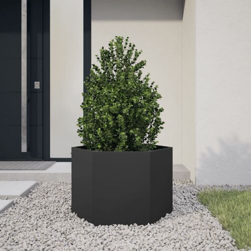 Vidaxl Jardinière Noir Hexagone 69x60x45 Cm Acier